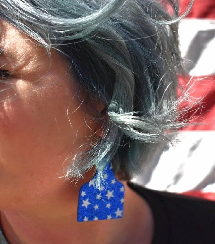 Sequinned Star Earrings