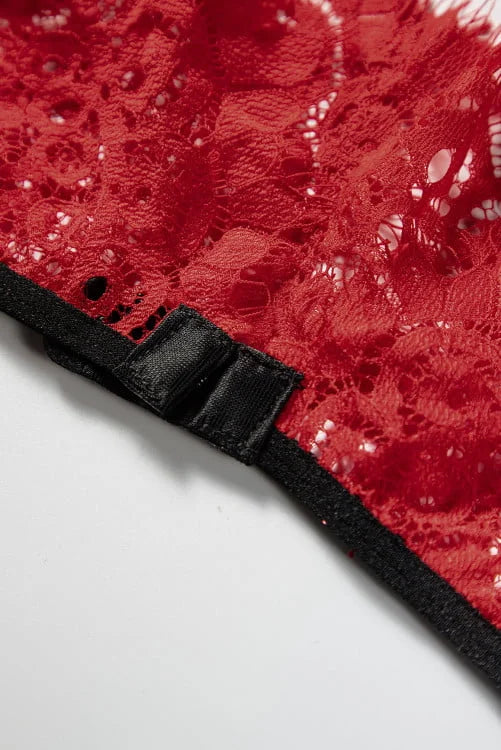 Eyelash Lace Bralette set with Garter Belt