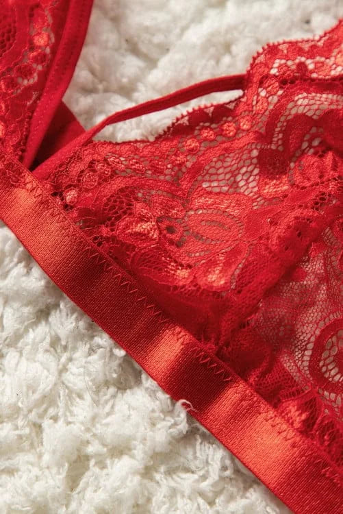 3 Pieces Mesh Lace Bralette Set