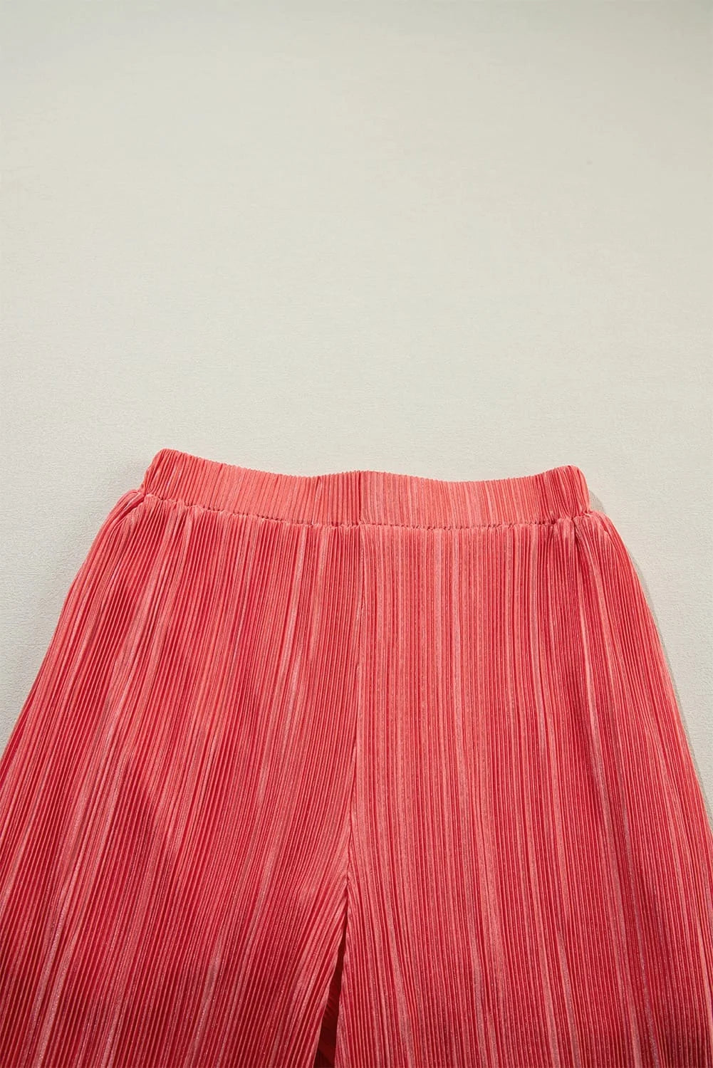 View For Days Pleated Wide Leg Pants Set